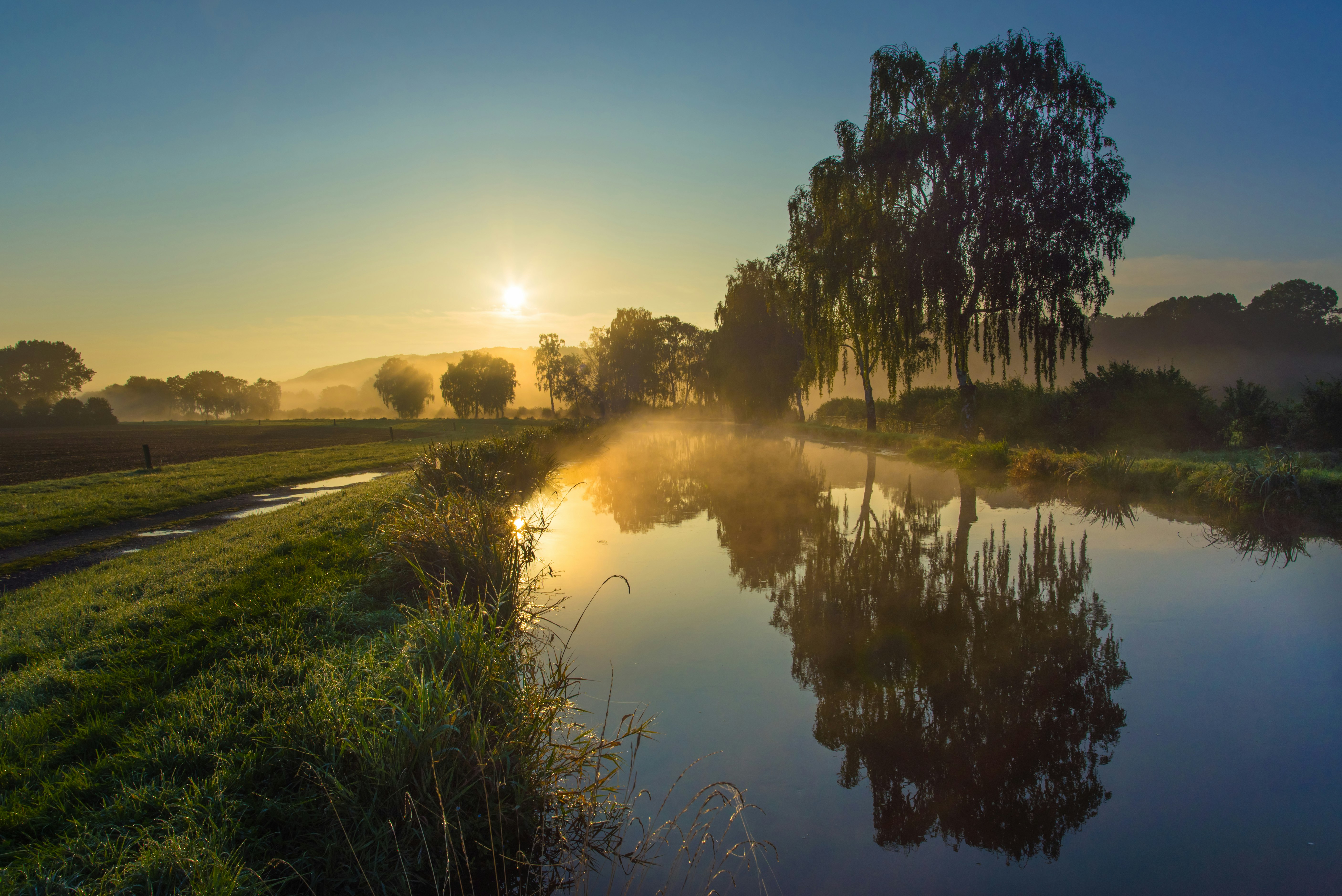 river and trees